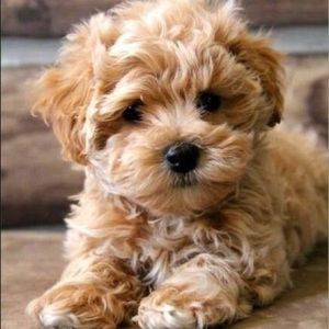 Meet your Posher, Kaitlin